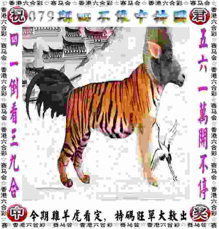 天柱山环山公路将上演“速度与激情”长板速降赛